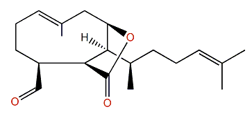 Dictyotalide A